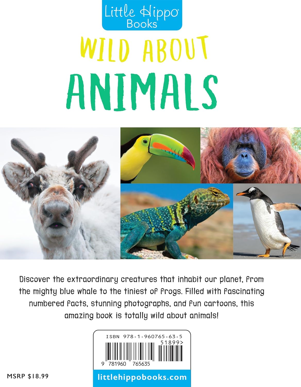 Little Hippo Books Wild About Animals Kid's Books | Educational Children's Animals Book |Best Kid's Books for Learning and Early Reading Skills