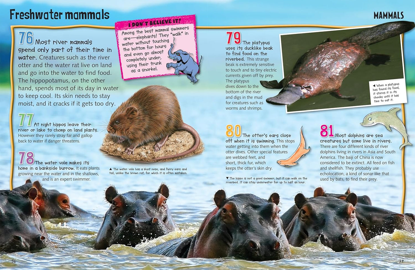 Little Hippo Books Wild About Animals Kid's Books | Educational Children's Animals Book |Best Kid's Books for Learning and Early Reading Skills